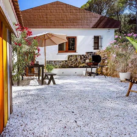 Villa Luxury Private 25m Pool, Gym, 200m To Canet De Mar